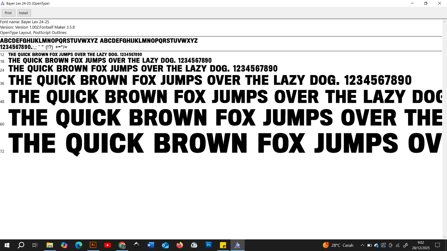 Bayer Leverkusen 2024-2025 Font