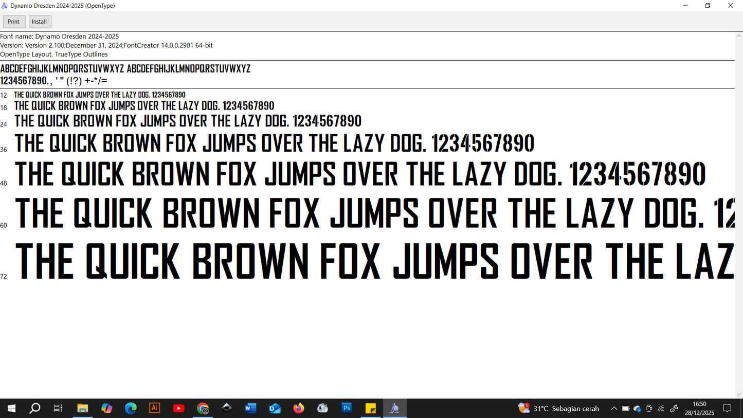 Dynamo Dresden 2024-2025 Font